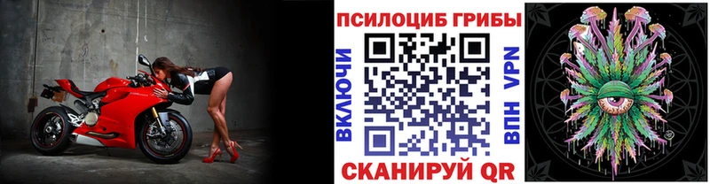 закладки  Бутурлиновка  Галлюциногенные грибы мухоморы 